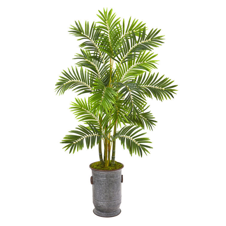 Bay Isle Home 66'' Faux Palm Tree in Metal Planter Wayfair Canada
